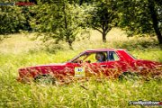 25.-ims-odenwald-classic-schlierbach-2017-rallyelive.com-5188.jpg